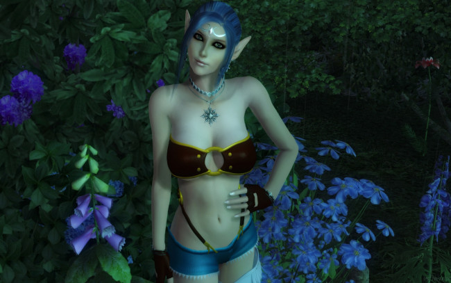 Обои картинки фото 3д графика, elves , эльфы, взгляд, эльфийка