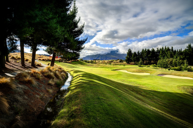 Обои картинки фото природа, деревья, новая, зеландия