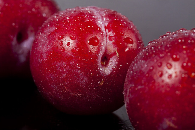 Обои картинки фото еда, персики,  сливы,  абрикосы, сливы