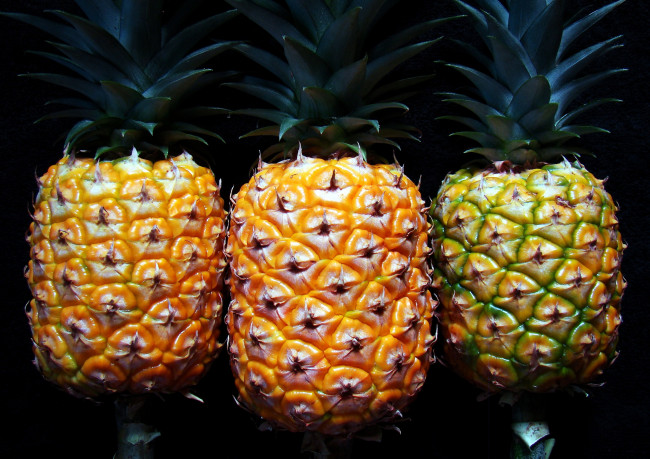 Обои картинки фото еда, ананас, ананасы