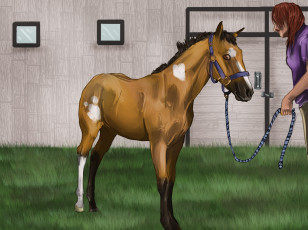 Картинка рисованное животные +лошади лошадь