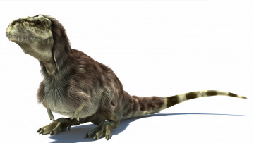 Картинка 3д+графика животные+ animals фон дракон