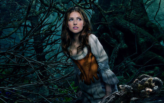 Обои картинки фото кино фильмы, into the woods, into, the, woods