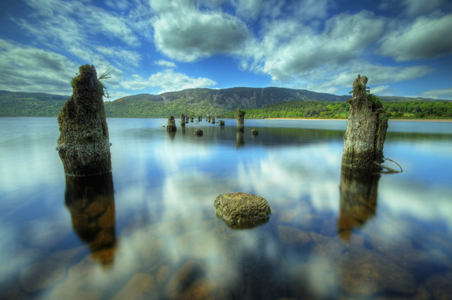 Обои картинки фото природа, реки, озера, сваи, вода, лес