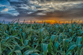 Картинка природа восходы закаты рассвет