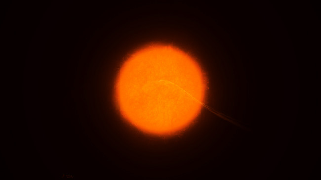 Обои картинки фото космос, солнце, звезда, вселенная