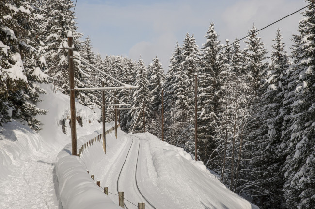 Обои картинки фото природа, зима, снег, дорога, ели