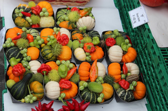 Картинка еда овощи урожай