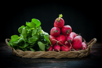 Картинка еда овощи зелень редиска