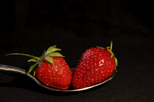 Обои картинки фото еда, клубника,  земляника, ягоды