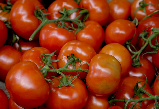 Обои картинки фото еда, помидоры, томаты