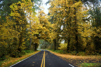 Картинка природа дороги простор