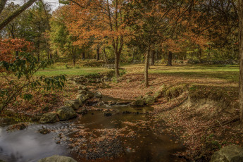 Картинка природа реки озера простор