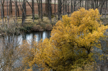 Картинка природа реки озера простор