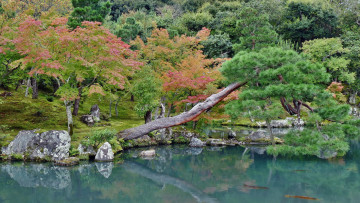 Картинка природа реки озера простор