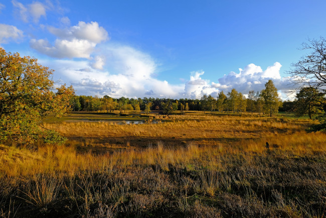 Обои картинки фото природа, пейзажи, простор