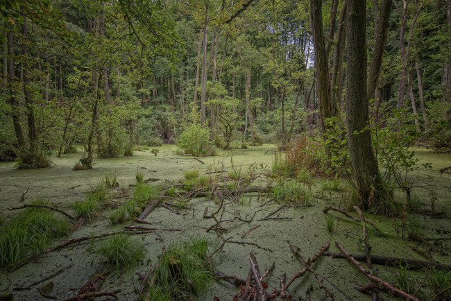 Обои картинки фото природа, реки, озера, простор