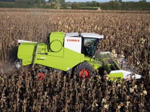 Картинка техника комбайны claas