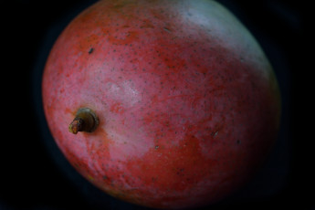 Картинка еда манго