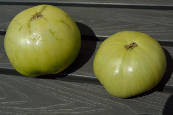 Картинка еда помидоры зеленые томаты