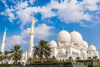 обоя города, абу-даби , оаэ, мечети, абу-даби, мечеть, шейха, зайда, религия, ислам