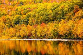 Картинка природа реки озера отражение осень река