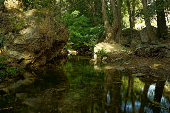 Картинка природа реки озера простор