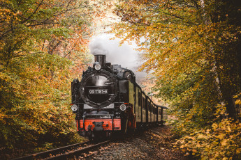 Картинка техника паровозы локомотив состав