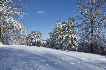 Картинка природа зима простор