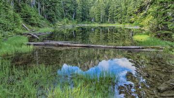 Картинка природа реки озера простор