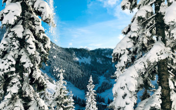 Картинка природа зима снег