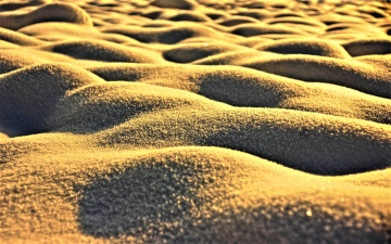 Картинка природа зима снег кочки