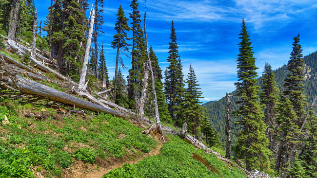 Обои картинки фото природа, пейзажи, простор