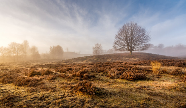 Обои картинки фото природа, пейзажи, простор