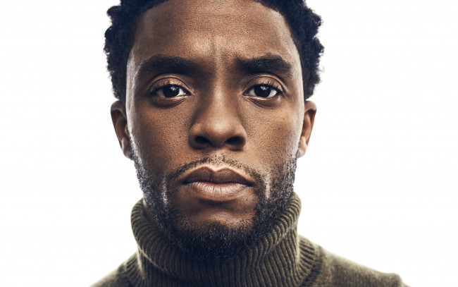 Обои картинки фото мужчины, chadwick boseman, лицо, chadwick, boseman, свитер, актер