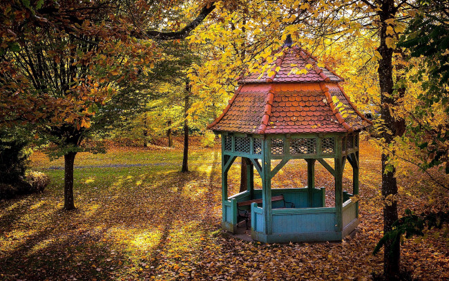 Обои картинки фото природа, парк, беседка