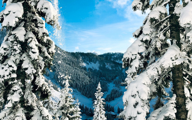 Обои картинки фото природа, зима, снег