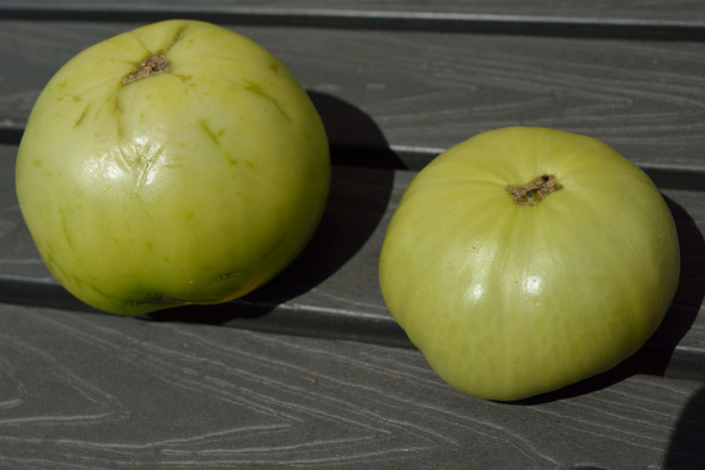 Обои картинки фото еда, помидоры, зеленые, томаты