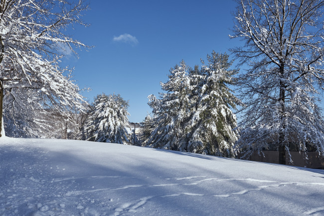 Обои картинки фото природа, зима, простор