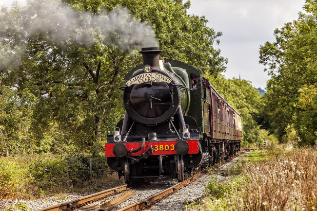 Обои картинки фото техника, паровозы, локомотив, состав