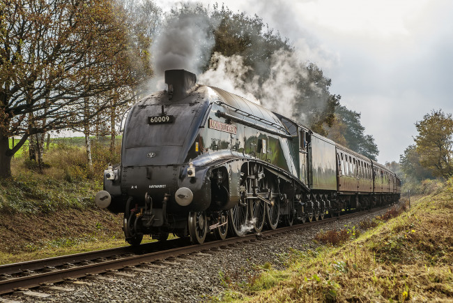 Обои картинки фото техника, паровозы, локомотив, состав