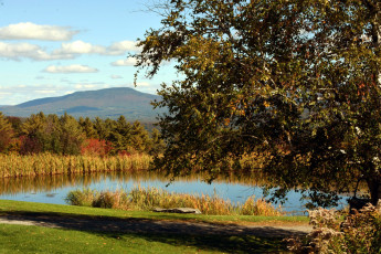 Картинка природа реки озера пруд