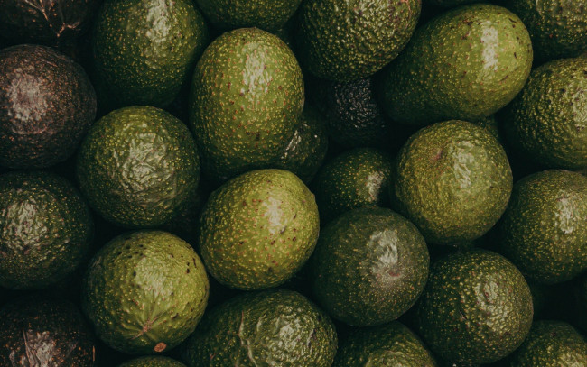 Обои картинки фото еда, авокадо, фрукт