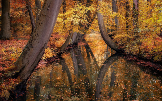 Обои картинки фото природа, реки, озера, осень, река