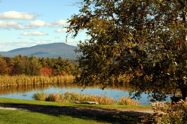 Обои картинки фото природа, реки, озера, пруд