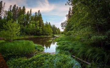 Картинка природа реки озера пруд