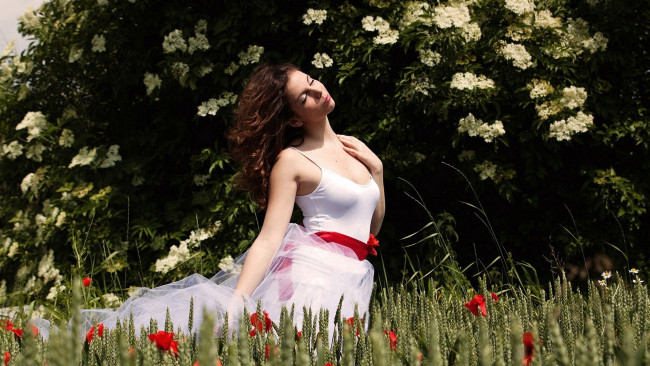 Обои картинки фото девушки, - брюнетки,  шатенки, куст, маки, шелковое, платье