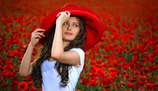 Обои картинки фото девушки, - брюнетки,  шатенки, маки, алые, луг, шляпка, лето