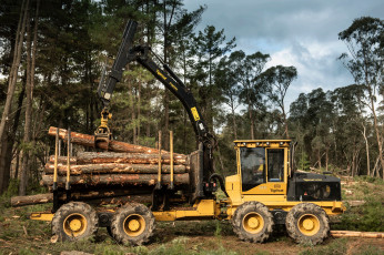 Картинка техника лесоповалочная+техника tigercat