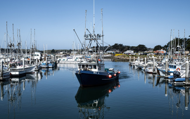 Обои картинки фото корабли, разные вместе, пристань, суда, яхты